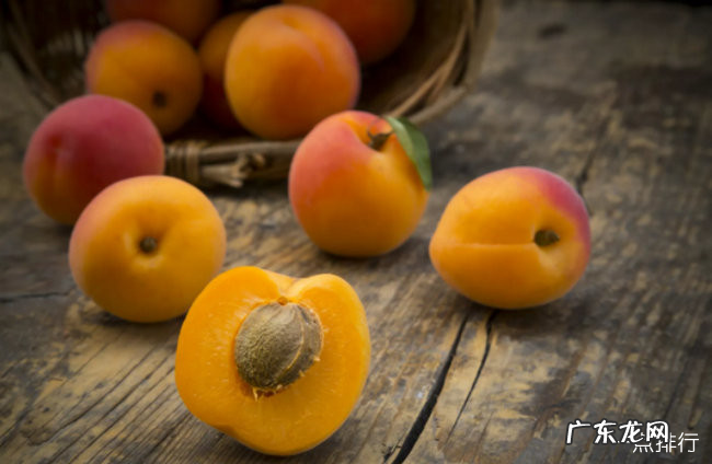 维生素a的食物排行榜 维生素a含量高的食物有哪些