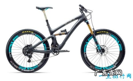 山地自行车品牌排行捷安特排第一