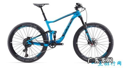 山地自行车品牌排行捷安特排第一