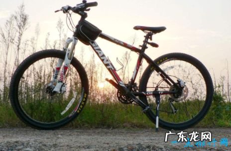 山地自行车品牌排行捷安特排第一