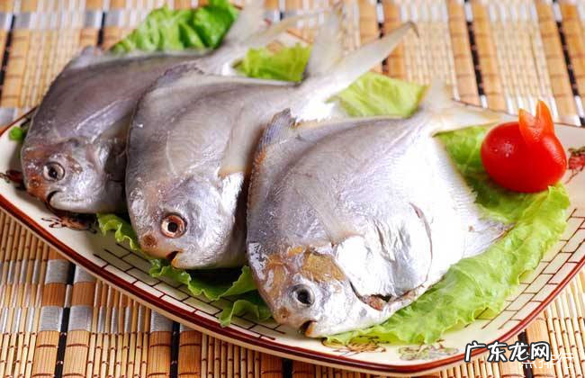 市场常见的海鱼有哪些 十种最美味海鱼排行榜