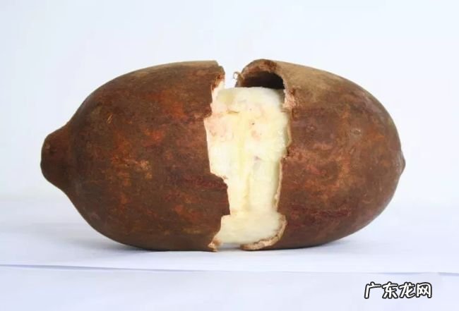 世界上最好吃的十种水果 很多人都没见过这些水果