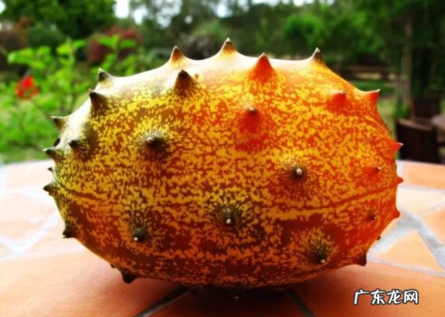 世界上最好吃的十种水果 很多人都没见过这些水果