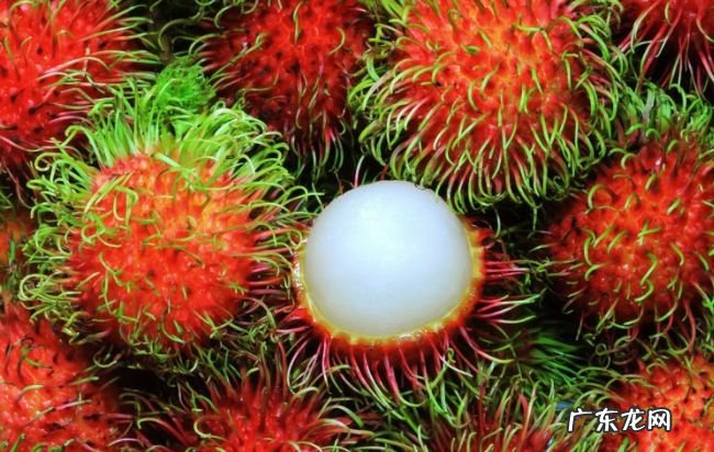 世界上最好吃的十种水果 很多人都没见过这些水果