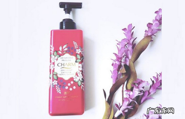 防脱发洗发水哪个好 世界十大防脱洗发露