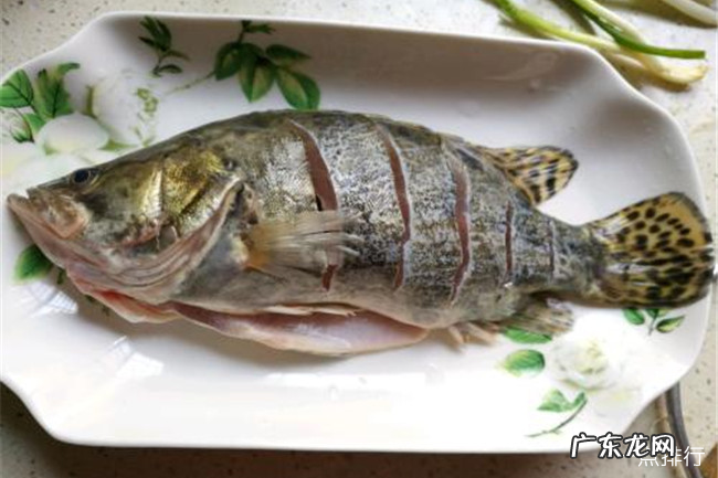 吃什么补充胶原蛋白 十大富含胶原蛋白的食物排行榜