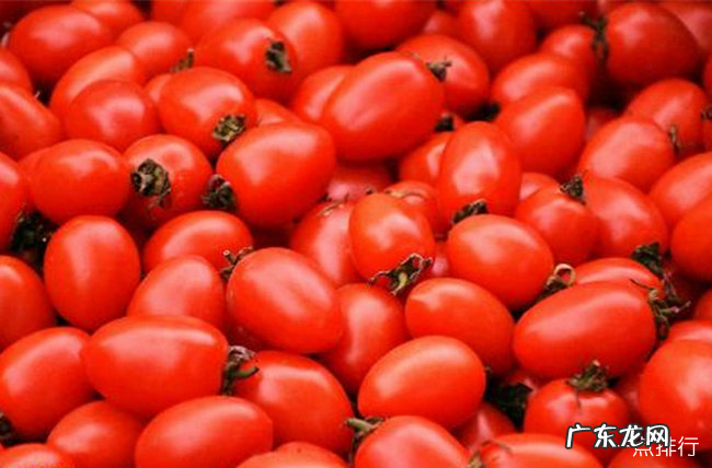 吃什么补充胶原蛋白 十大富含胶原蛋白的食物排行榜