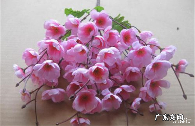 辽宁十大特产 辽宁特产有哪些