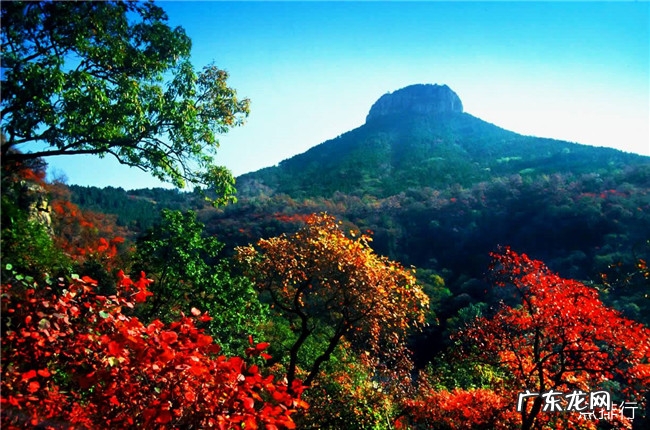 枣庄十大旅游景点排行榜 枣庄最值得去的地方