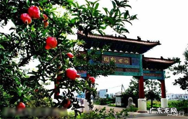 枣庄十大旅游景点排行榜 枣庄最值得去的地方