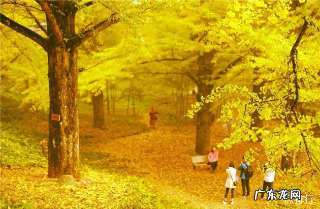 永州十大旅游景点大全 永州有什么地方值得去玩