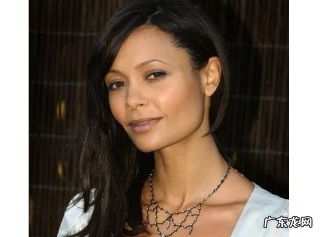 非洲十大最美女星 查理兹·塞隆仅排第二