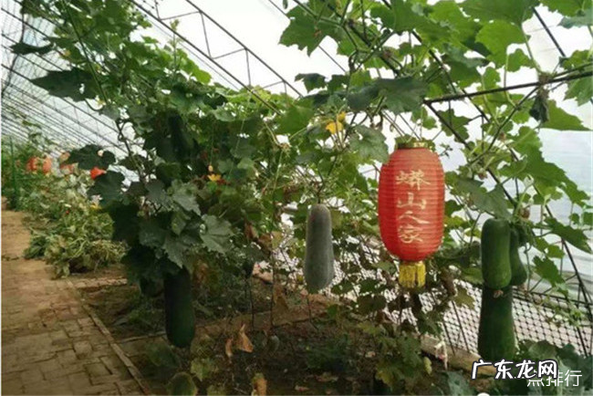 迁安十大景点排行榜 迁安周边旅游景点大全