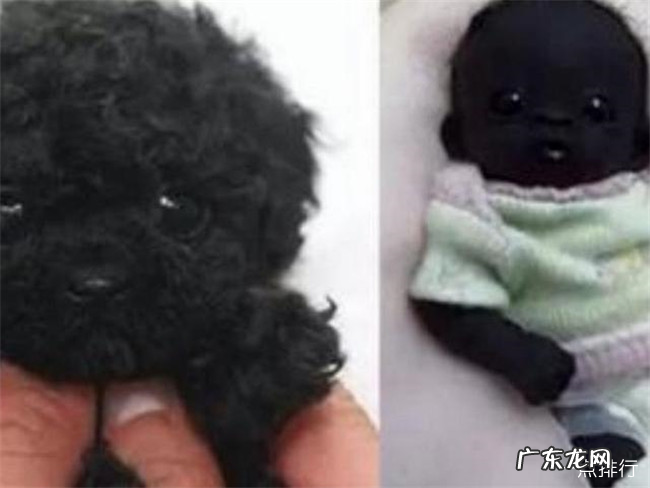 世界上最黑的孩子 比包黑炭要黑的多