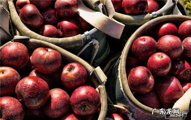 拉肚子吃什么好的最快 腹泻能吃的十种食物