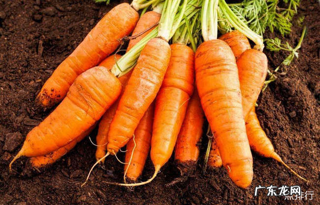 拉肚子吃什么好的最快 腹泻能吃的十种食物