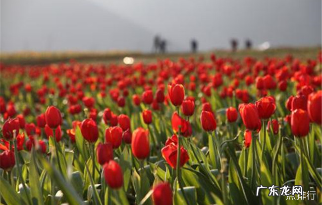 巢湖十大景点排行榜 巢湖有哪些好玩的景点推荐