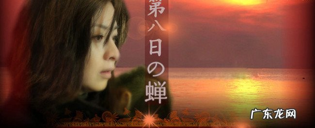 日本伦理电影排行榜 好看的伦理电影大全