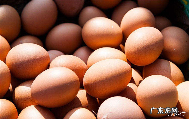 高蛋白食物排行一览表 吃什么补蛋白质最快