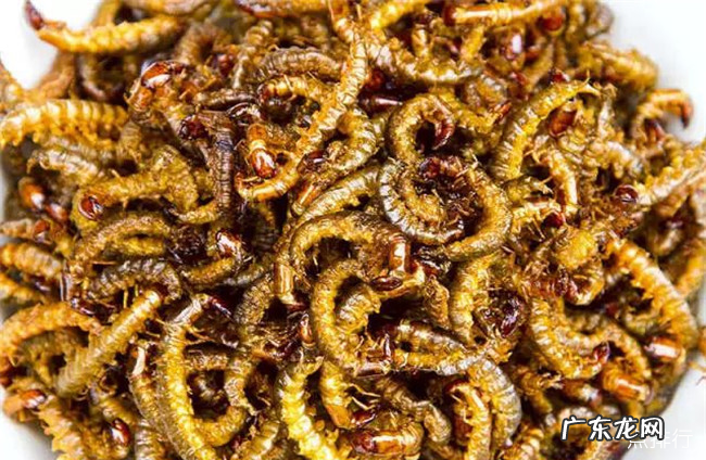 高蛋白食物排行一览表 吃什么补蛋白质最快