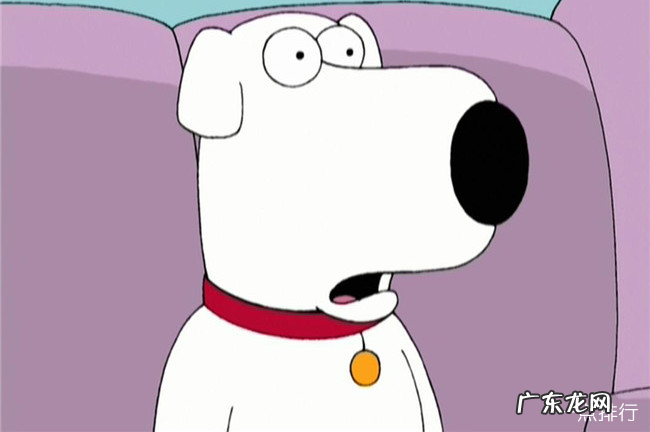 十大标志性卡通动物 卡通动物大全