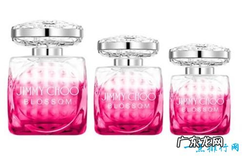 世界十大名牌香水第一名毫无悬念