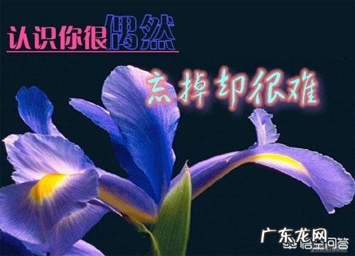 在农村,农民常说的“农村四大毒”指的是什么他们说的有道理吗