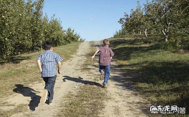 有的人快走就已到达减脂心率,那慢跑是不是不适合减脂