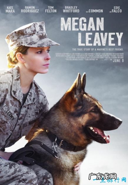 战争电影排行榜前十名 最好看的经典战争电影