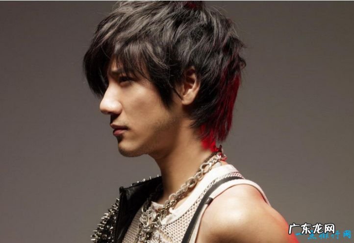 中国最帅的男明星排行榜 谢霆锋仅排第四