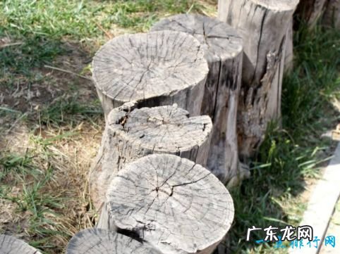 中国古代十大酷刑 这些刑法真的是残忍