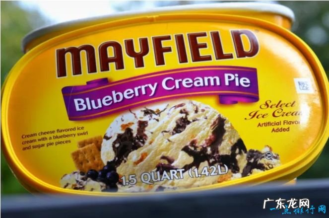 全球十大冰淇淋品牌 哈根达斯仅排第三