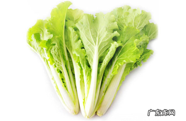 十种生长最快的蔬菜排行 什么蔬菜生长周期最快