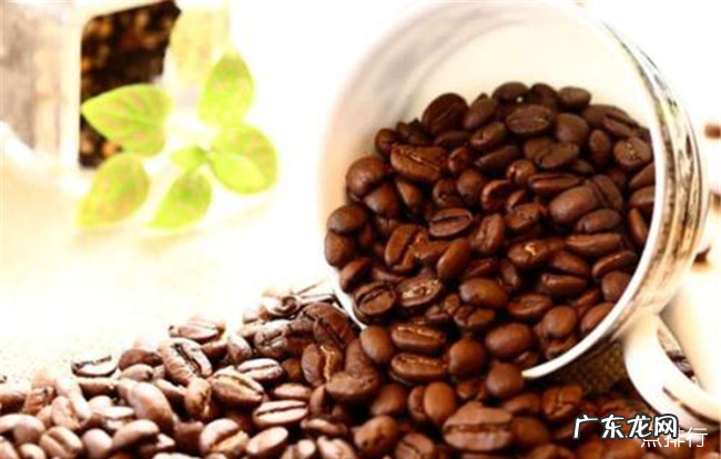 世界十大咖啡排名 猫屎咖啡只能排第三