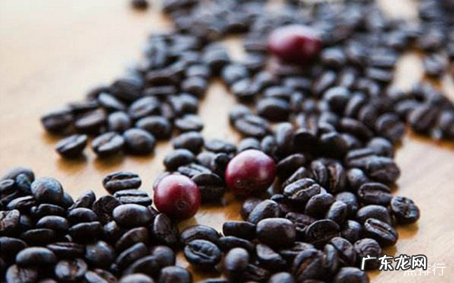 世界十大咖啡排名 猫屎咖啡只能排第三