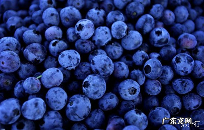 改善健康的十大最佳食品 十大健康的食品