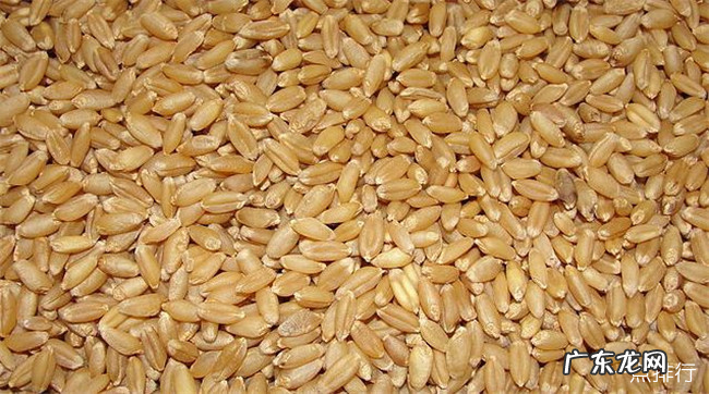 改善健康的十大最佳食品 十大健康的食品