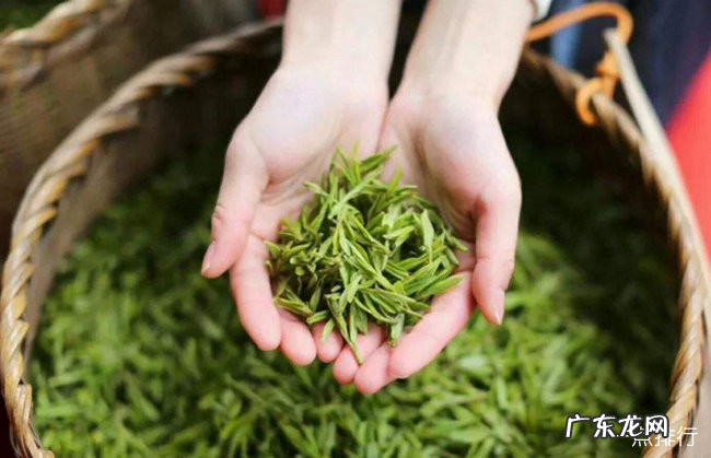 浙江十大特产 浙江特产有哪些