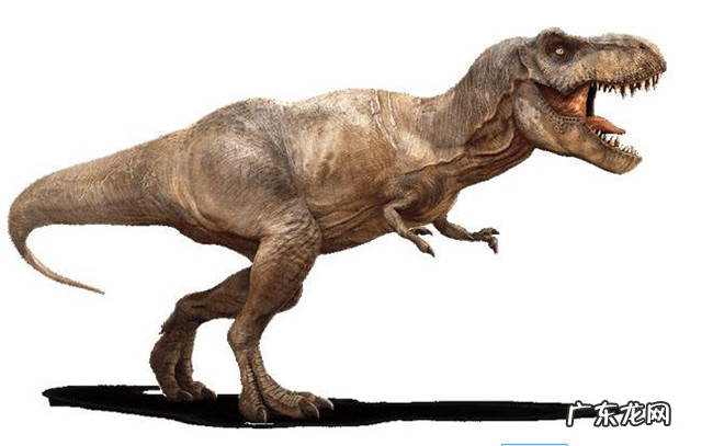 十大肉食恐龙排名 食肉恐龙的种类有哪些