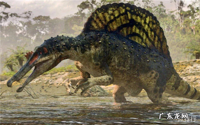 十大肉食恐龙排名 食肉恐龙的种类有哪些