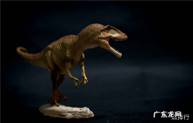 十大肉食恐龙排名 食肉恐龙的种类有哪些