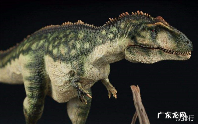十大肉食恐龙排名 食肉恐龙的种类有哪些