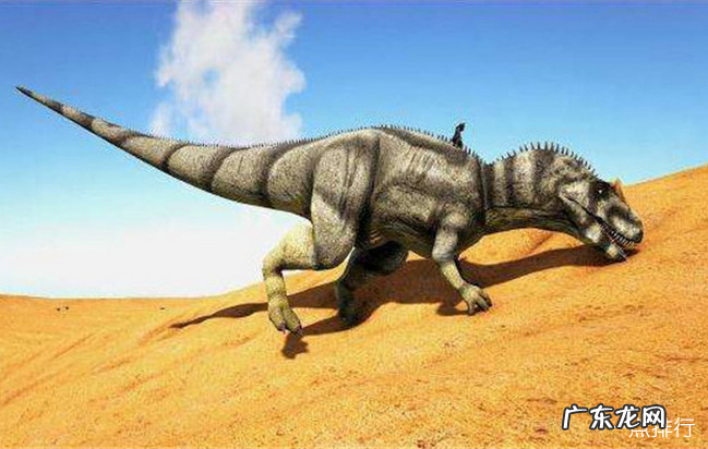 十大肉食恐龙排名 食肉恐龙的种类有哪些