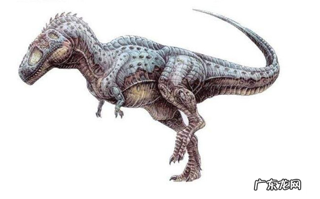 十大肉食恐龙排名 食肉恐龙的种类有哪些