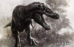 十大肉食恐龙排名 食肉恐龙的种类有哪些