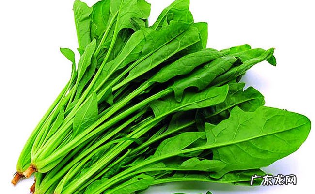 10种顶级抗衰老食物 比抗衰老针还要管用