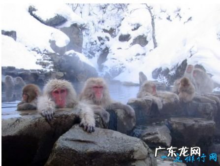 世界十大温泉排名奇异仙境