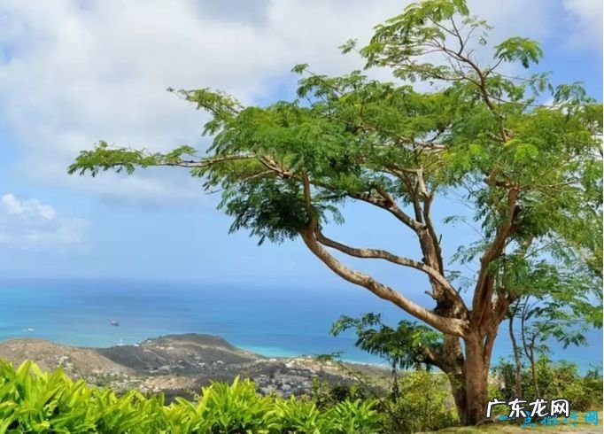 世界十大最美丽的加勒比岛屿 风景让人流连忘返