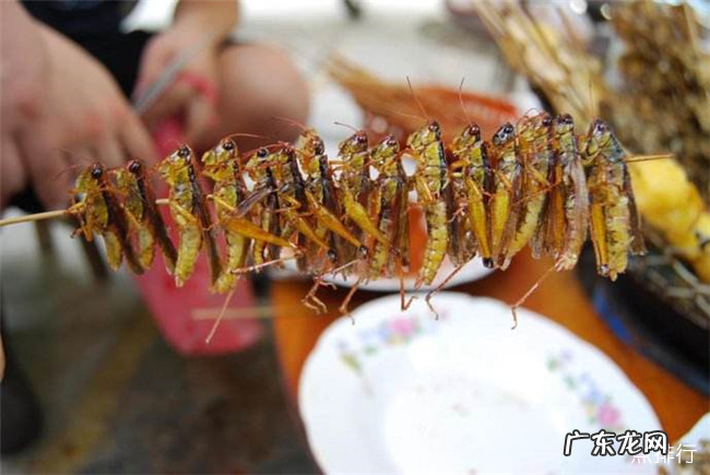 高蛋白食物有哪些 十大高蛋白食物排行榜