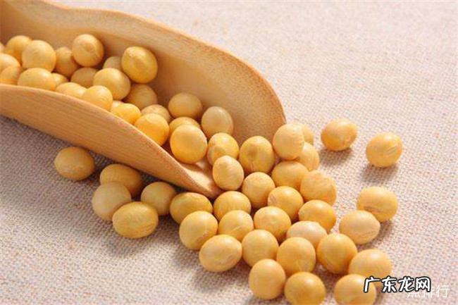 高蛋白食物有哪些 十大高蛋白食物排行榜